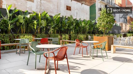 Loft con terraza dentro de residencia de estudiantes - BARCELONA