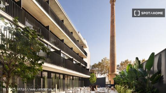 Loft con terraza dentro de residencia de estudiantes - BARCELONA