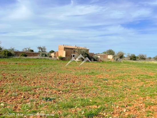 Finca rústica de 22.285 m2 con vivienda a reformar en Campos - BALEARES