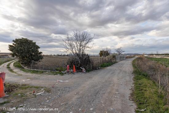  Finca Rústica de 3,500 m² en la Vega de Granada por Solo 35,000 € - GRANADA 