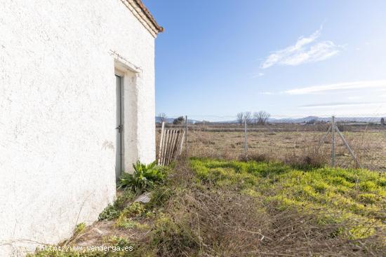 Finca Rústica de 3,500 m² en la Vega de Granada por Solo 35,000 € - GRANADA