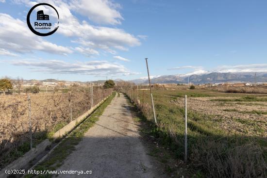 Finca Rústica de 3,500 m² en la Vega de Granada por Solo 35,000 € - GRANADA