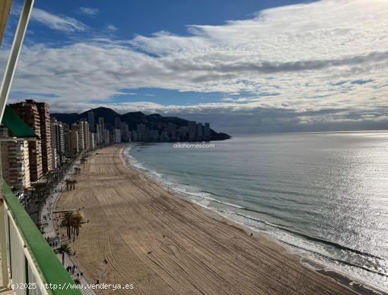 Piso en venta primera Línea Playa Levante - ALICANTE