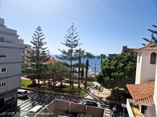  Apartamento en alquiler en Arona (Tenerife) 