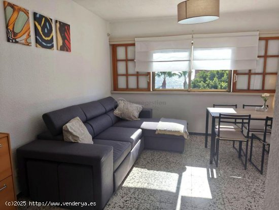 Apartamento en alquiler en Arona (Tenerife)