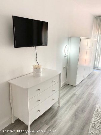 Apartamento en alquiler en Torrevieja (Alicante)