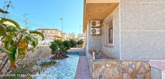  Villa en venta en Torrevieja (Alicante) 