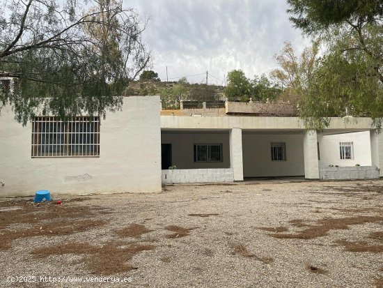  Villa en venta en Crevillent (Alicante) 