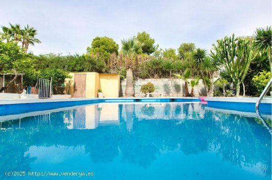 Villa en venta en Crevillent (Alicante)