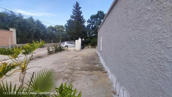 Villa en venta en Crevillent (Alicante)