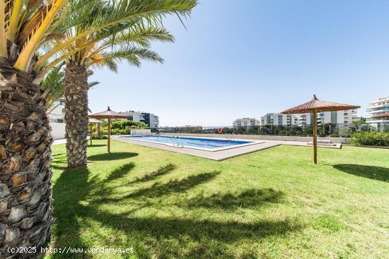 Apartamento en venta en Orihuela (Alicante)