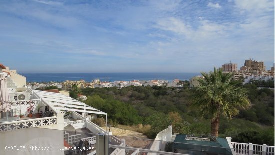  Apartamento en venta en Torrevieja (Alicante) 