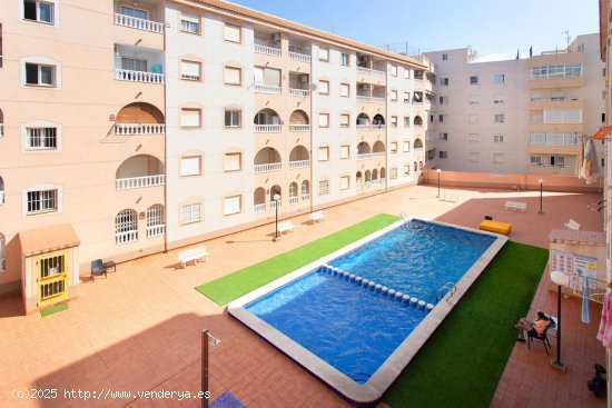  Apartamento en venta en Torrevieja (Alicante) 