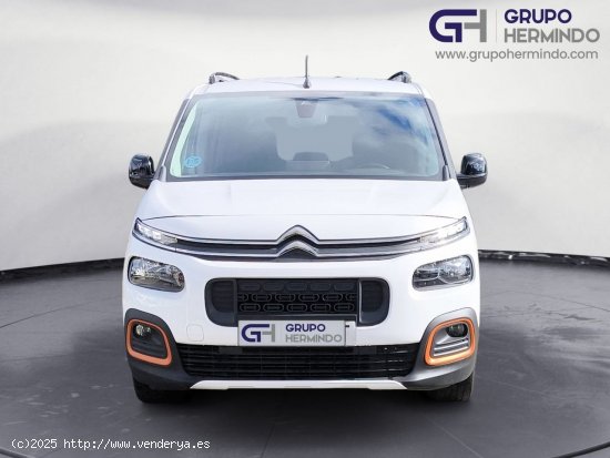 Citroën Berlingo TALLA M BLUE HDI 100 CV SHINE - Ponteareas