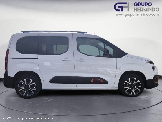 Citroën Berlingo TALLA M BLUE HDI 100 CV SHINE - Ponteareas