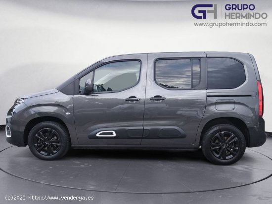 Citroën Berlingo TALLA M BLUE HDI 100 CV SHINE - Ponteareas