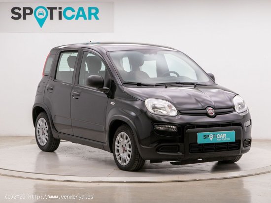 Fiat Panda 1.0 MHEV S/S 70 5P - Barcelona