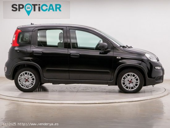 Fiat Panda 1.0 MHEV S/S 70 5P - Barcelona