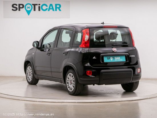 Fiat Panda 1.0 MHEV S/S 70 5P - Barcelona