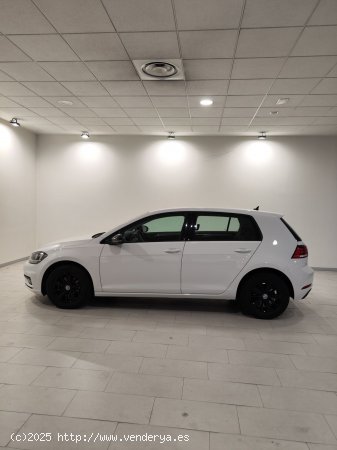 Volkswagen Golf Business 1.6 TDI 85kW (115CV) - Lleida