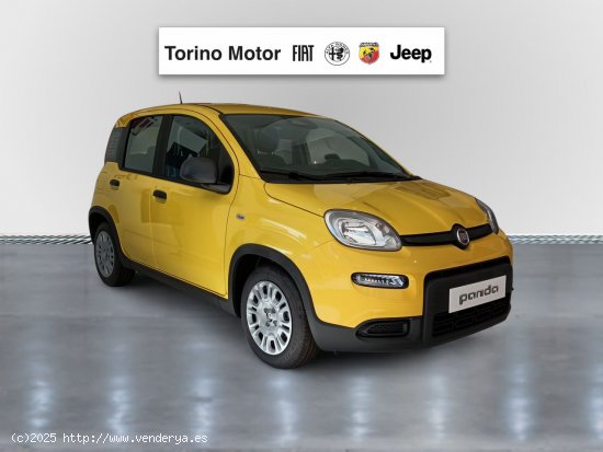 Fiat Panda Panda 1.0 Hybrid 51kW (70cv) - Málaga