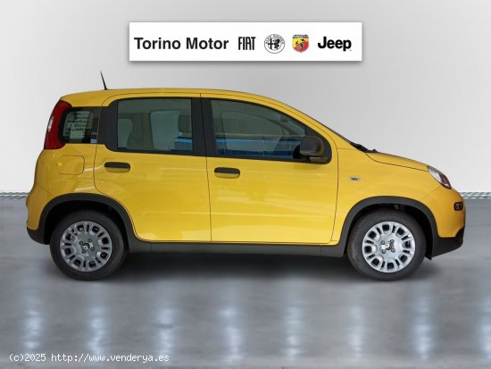 Fiat Panda Panda 1.0 Hybrid 51kW (70cv) - Málaga