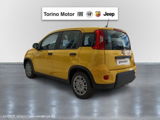 Fiat Panda Panda 1.0 Hybrid 51kW (70cv) - Málaga