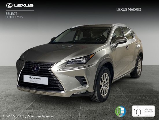  Lexus NX 2.5 300h Business Navigation 2WD - Madrid 