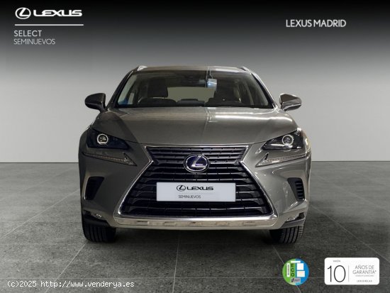 Lexus NX 2.5 300h Business Navigation 2WD - Madrid