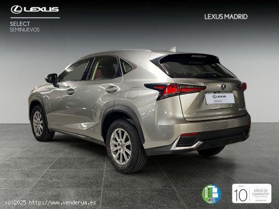 Lexus NX 2.5 300h Business Navigation 2WD - Madrid