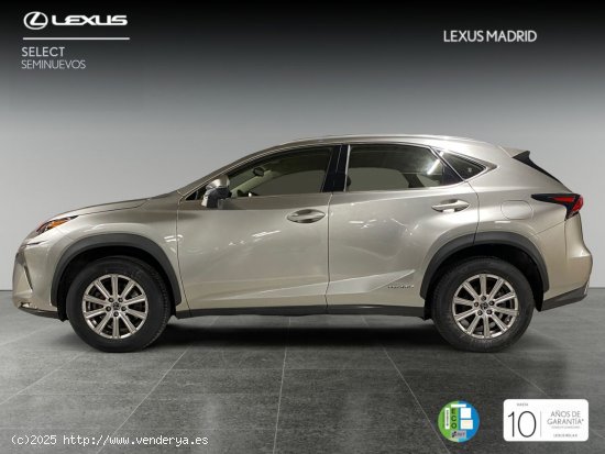 Lexus NX 2.5 300h Business Navigation 2WD - Madrid