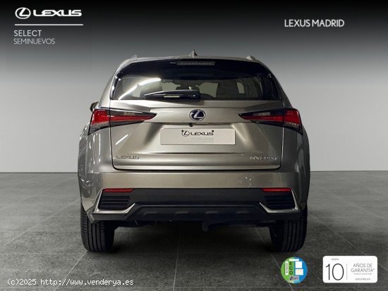 Lexus NX 2.5 300h Business Navigation 2WD - Madrid