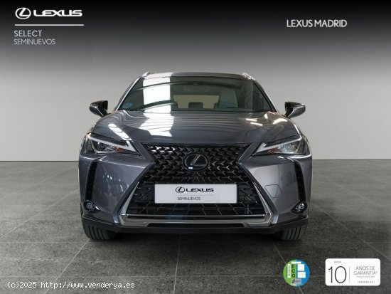 Lexus UX 2.0 250h Business - Madrid