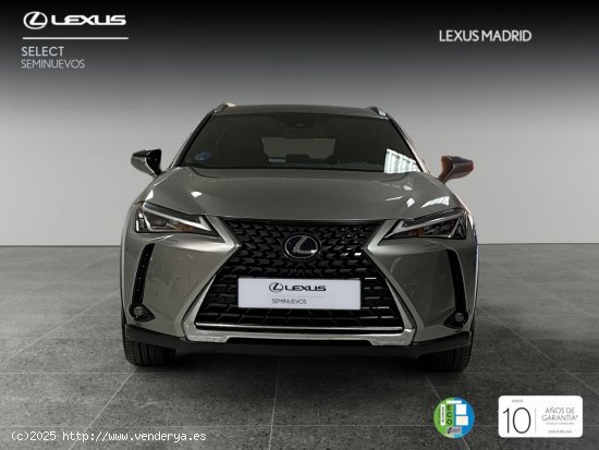 Lexus UX 2.0 250h Executive Plus - Madrid