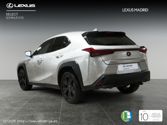 Lexus UX 2.0 250h Premium - Madrid