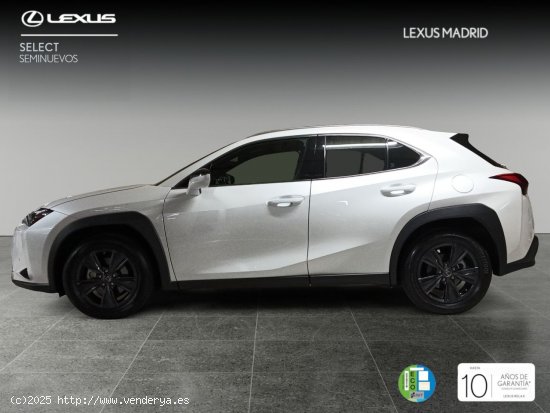 Lexus UX 2.0 250h Premium - Madrid