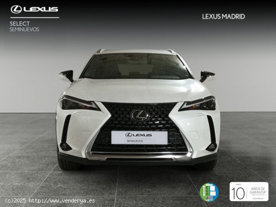 Lexus UX 2.0 250h Premium - Madrid