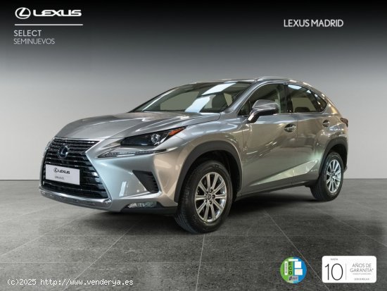  Lexus NX 2.5 300h Business 2WD - Madrid 