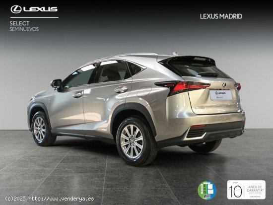 Lexus NX 2.5 300h Business 2WD - Madrid