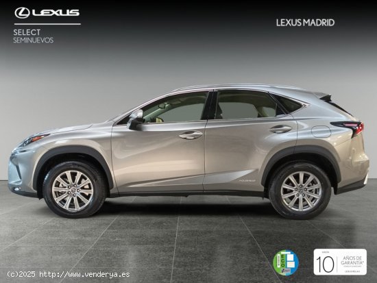 Lexus NX 2.5 300h Business 2WD - Madrid