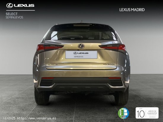 Lexus NX 2.5 300h Business 2WD - Madrid