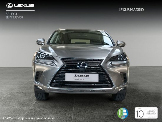 Lexus NX 2.5 300h Business 2WD - Madrid