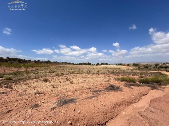 Terreno Jumilla zona Paraje Chamaleta - MURCIA