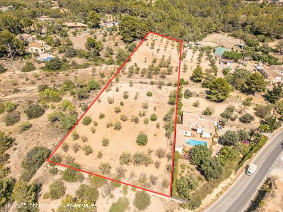  Terreno agrario  de 7.000m2 en Calvia con pozo propio, Mallorca - BALEARES 