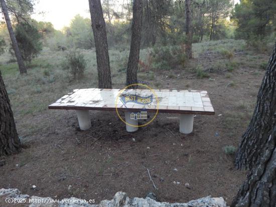 AMPLIO TERRENO CON REFUGIO, ASEO Y POZO DE AGUA NATURAL EN LA SIERRA MARIOLA DE BOCAIRENT (VALENCIA)