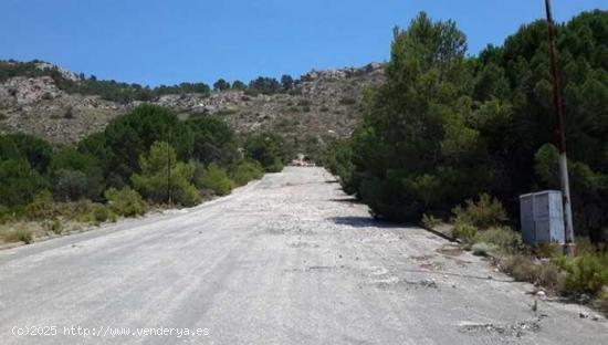 SUELO URBANO EN VILLENA - ALICANTE