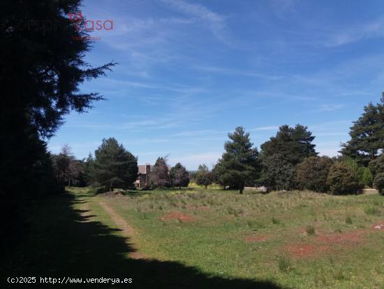 VENTA.-.SUELO URBANO.-.ORTIGOSA DEL MONTE - SEGOVIA