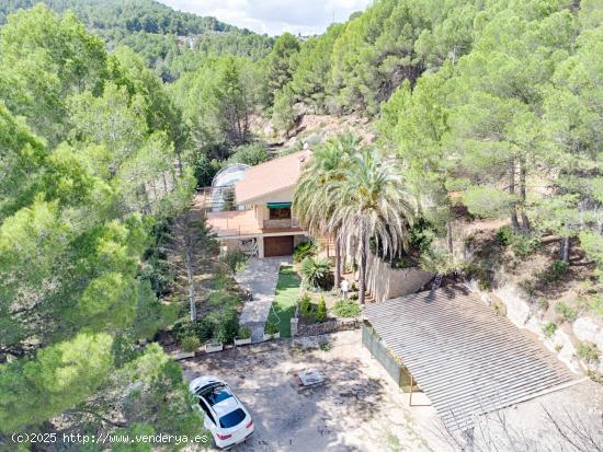  FINCA EN EL CAMPO CON 26000M2 DE TERRENO, EN TÚRBALOS CERCA DE MURO DE ALCOY. - ALICANTE 