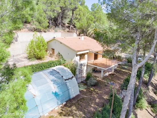 FINCA EN EL CAMPO CON 26000M2 DE TERRENO, EN TÚRBALOS CERCA DE MURO DE ALCOY. - ALICANTE