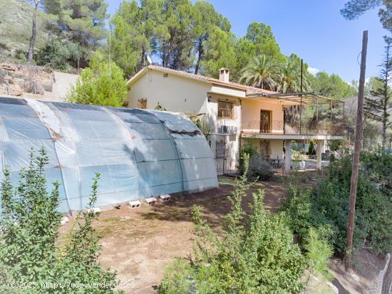 FINCA EN EL CAMPO CON 26000M2 DE TERRENO, EN TÚRBALOS CERCA DE MURO DE ALCOY. - ALICANTE